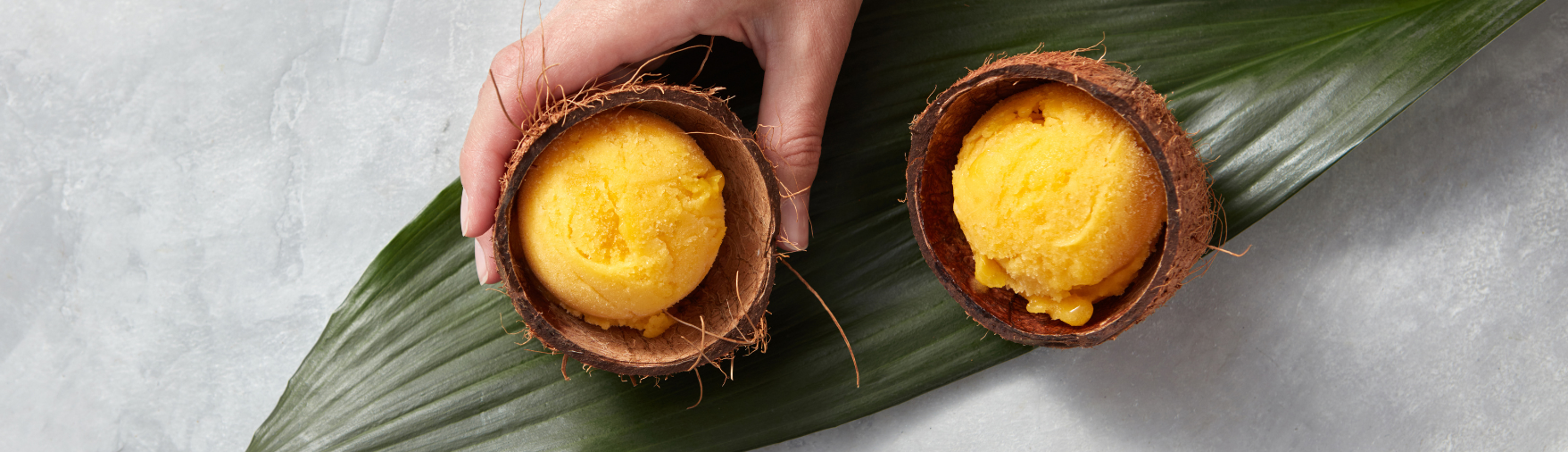 Home-Made Mango Sorbet